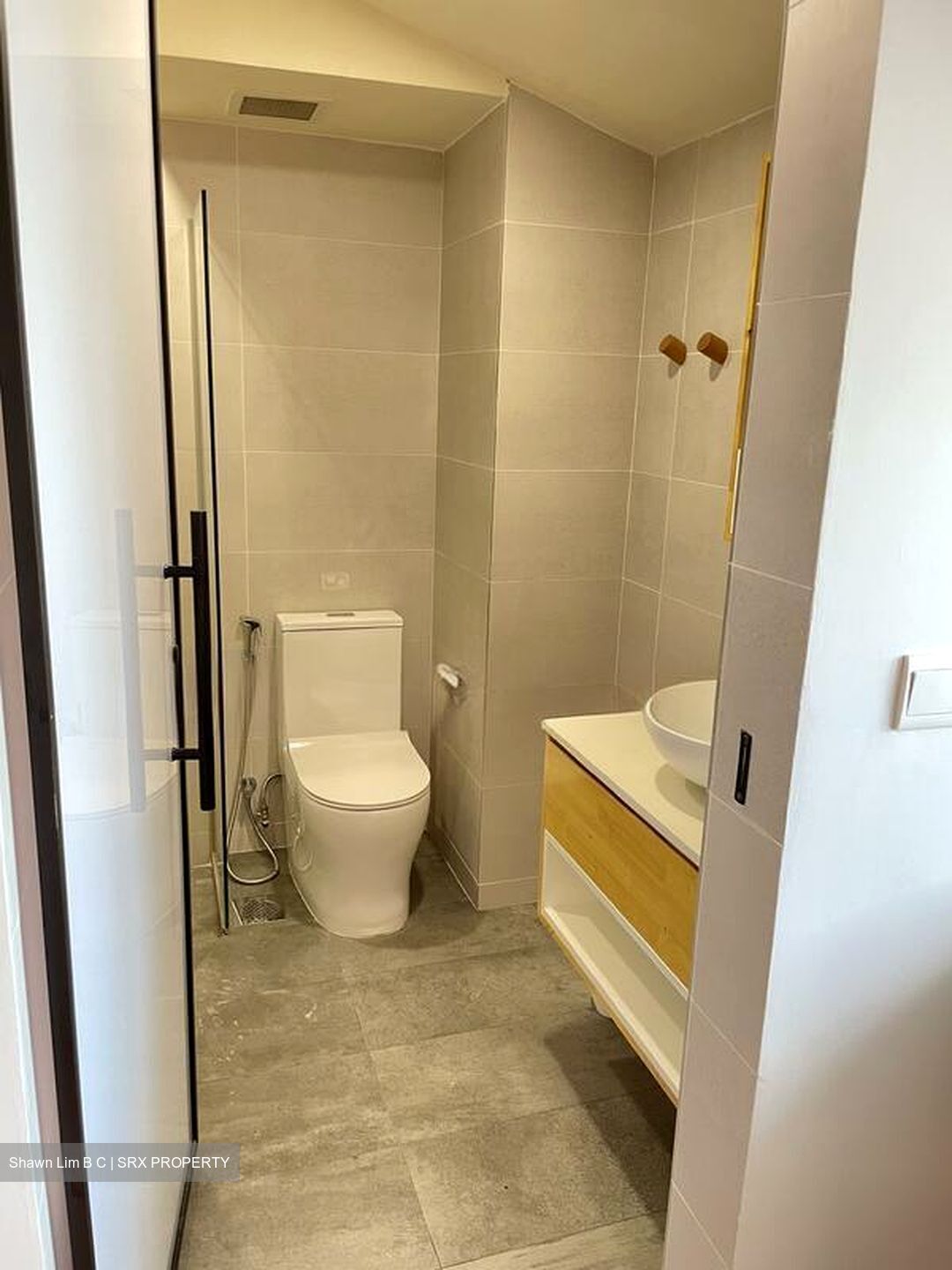 Loft @ Rangoon (D8), Apartment #522548661